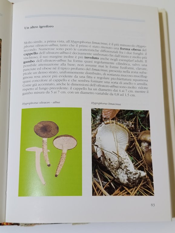 I miei funghi : come sono, dove si trovano, come …