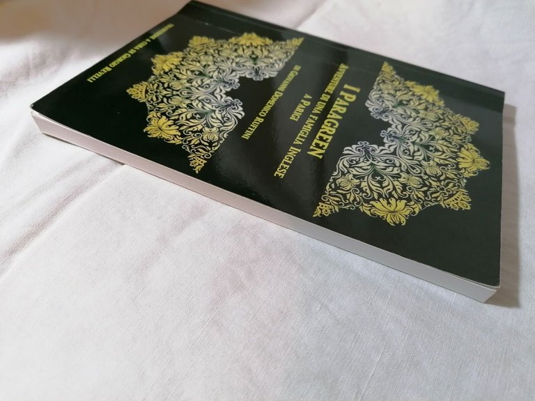 I Paragreen. Avventure di una famiglia inglese a Parigi