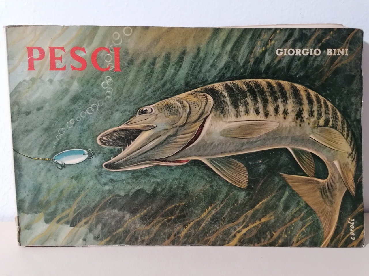 I Pesci Delle Acque Interne D'Italia Libro Giorgio Bini Disegni …