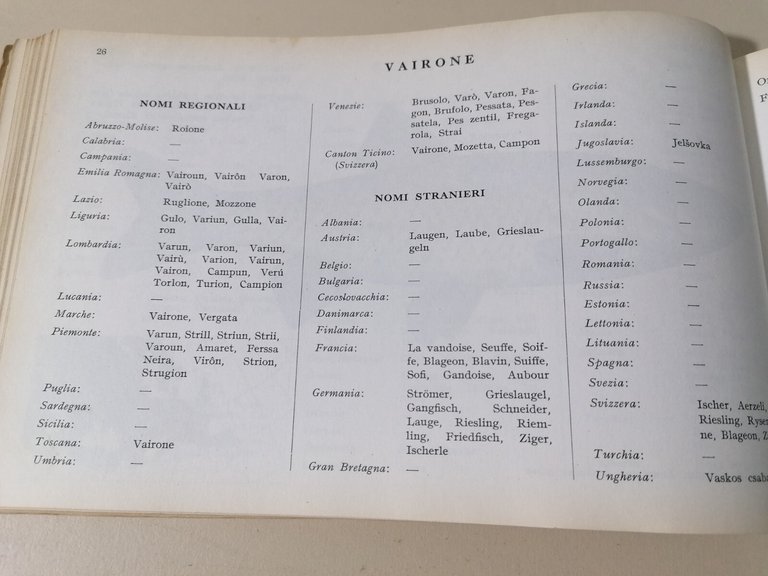 I Pesci Delle Acque Interne D'Italia Libro Giorgio Bini Disegni …