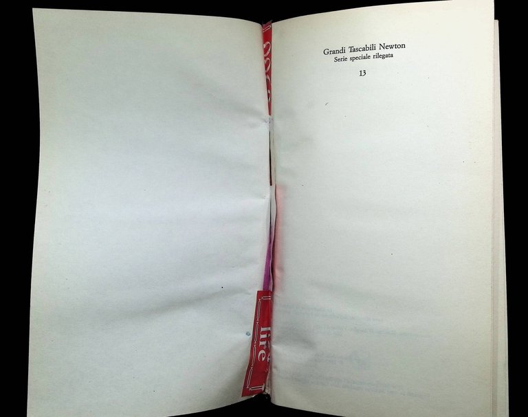 I Promessi Sposi. Grandi Tascabili Newton | Immagine Gallery 6