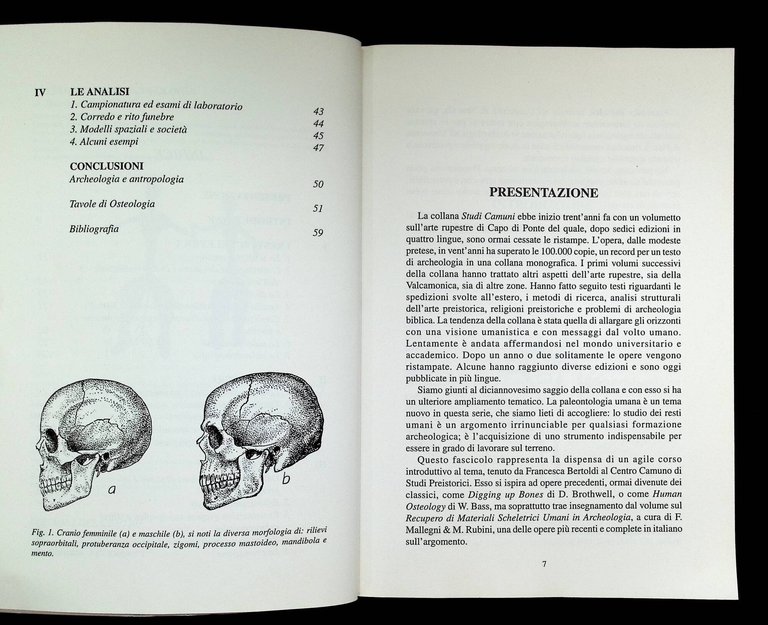 I resti umani in archeologia | Immagine Gallery 7