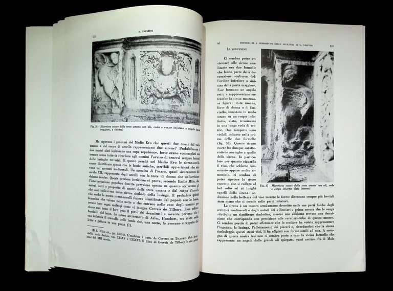 Iconografia e Simbolismo Nelle Sculture Della Facciata di S. Lorenzo … | Immagine Gallery 9