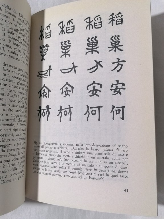 Identikit del cervello