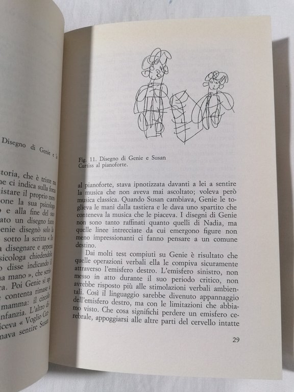 Identikit del cervello