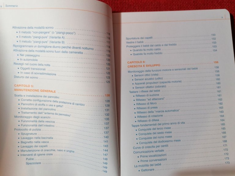 Il Bebè Manuale D'Istruzioni