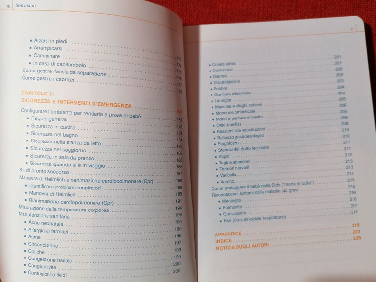 Il Bebè Manuale D'Istruzioni