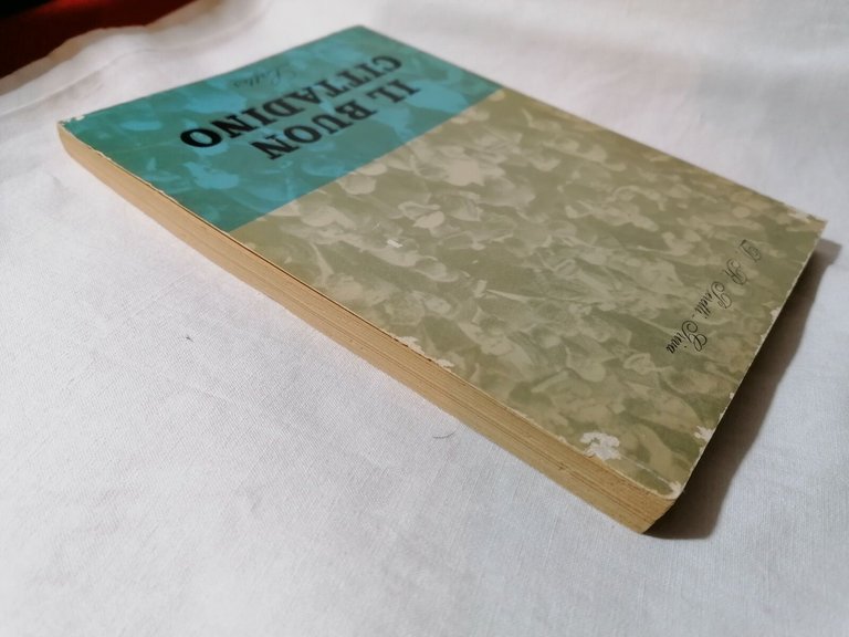 Il Buon Cittadino - Libro Domenico Peretti Griva - Lattesa …