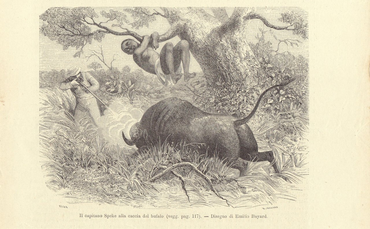 Il capitano Speke alla caccia del bufalo. Illustrazione 1864 | Immagine principale