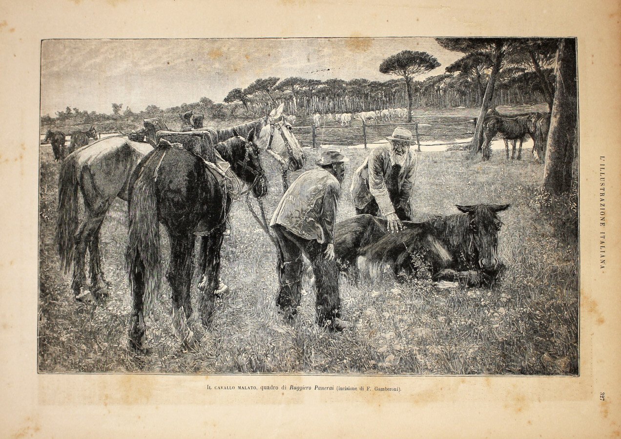 Il cavallo malato da un quadro di Ruggiero Panerai. Stampa … | Immagine principale