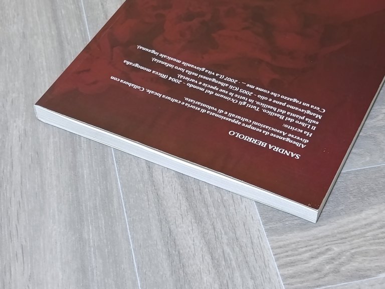 Il cimitero monumentale di Albenga. Lo Staglieno ingauno. Ediz. illustrata