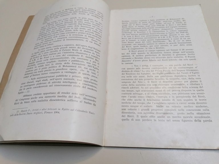 Il Contributo Degli Italiani Ai Progressi Della Medicina In Egitto …