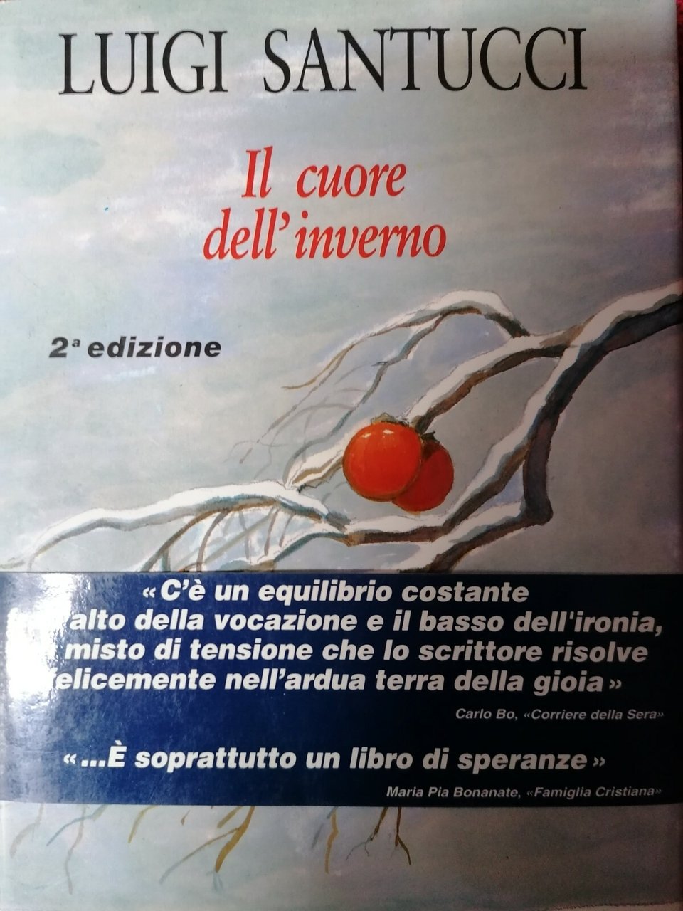 Il cuore dell'inverno