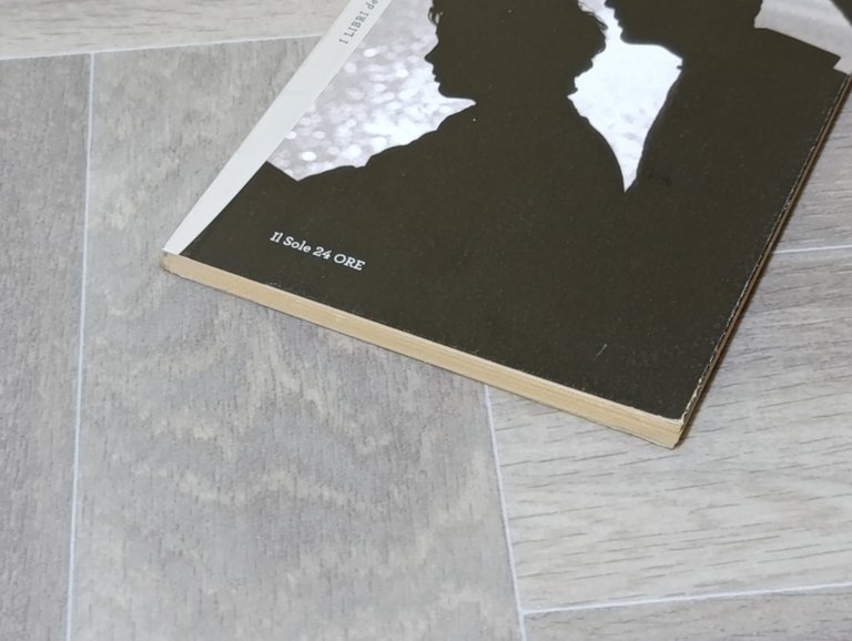 Il diavolo (il Sole 24 ore)