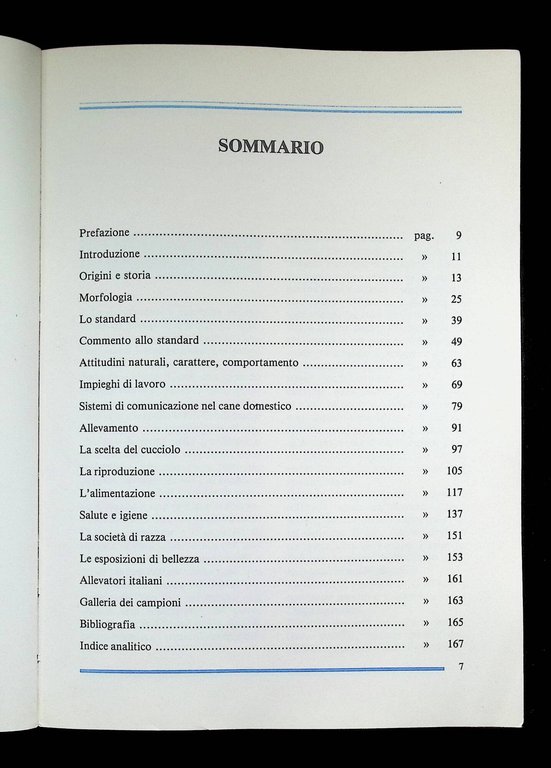 Il Dogo argentino | Immagine Gallery 4