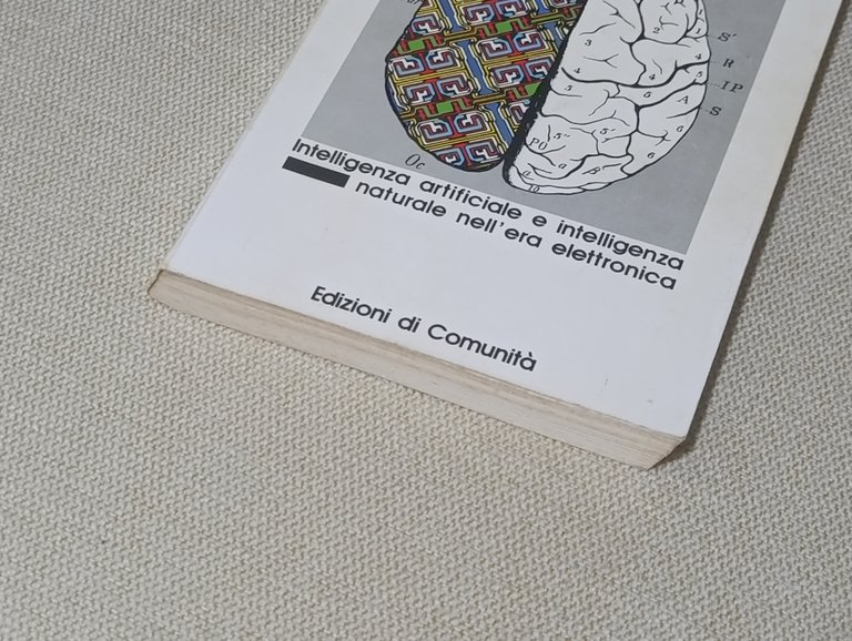 Il doppio cervello. Intelligenza artificiale e intelligenza naturale nell'era dell'elettronica