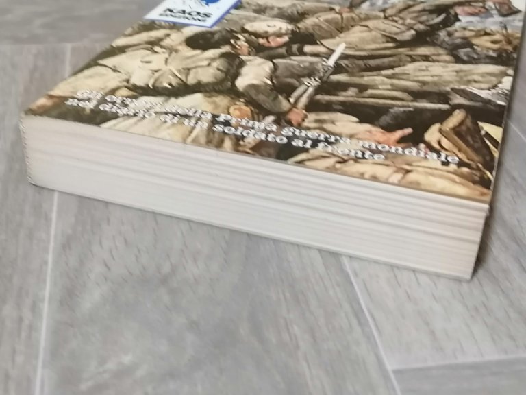 Il Fuoco -Henri Barbusse, Libro Orrori Prima Guerra Mondiale Diario …