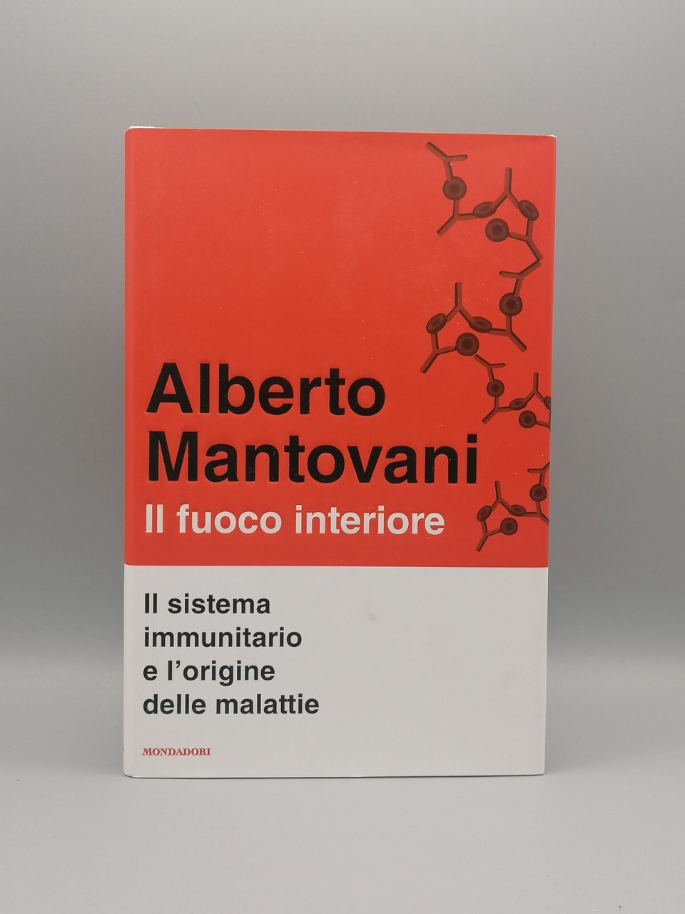 Il Fuoco Interiore, Libro Alberto Mantovani Prima Edizione 2020 Origine …