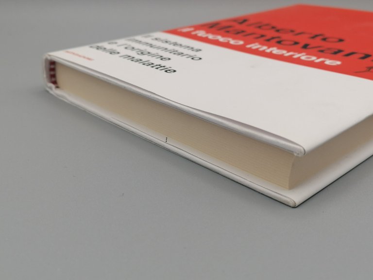 Il Fuoco Interiore, Libro Alberto Mantovani Prima Edizione 2020 Origine …