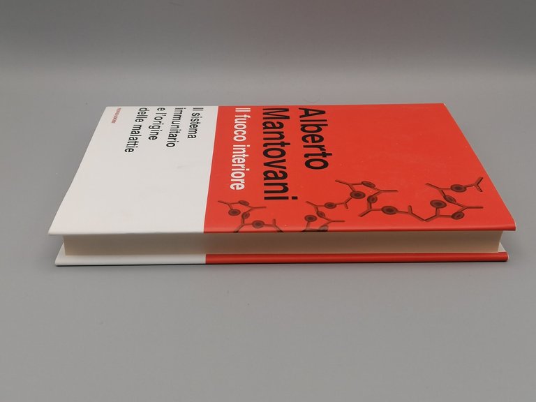 Il Fuoco Interiore, Libro Alberto Mantovani Prima Edizione 2020 Origine …