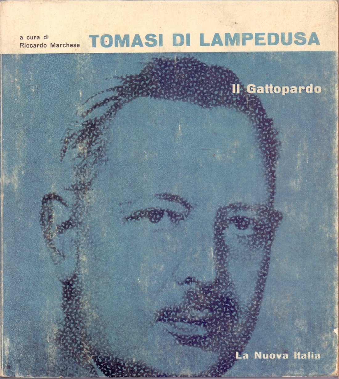 Il Gattopardo - Tomasi di Lampedusa | Immagine principale
