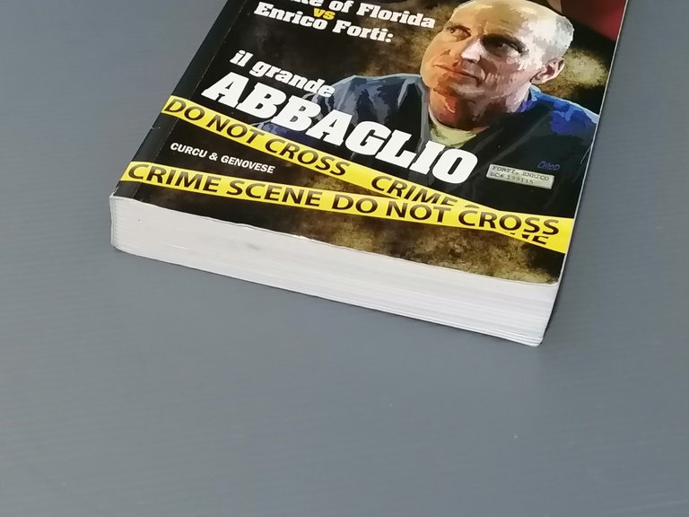 Il Grande Abbaglio, Libro Roberta Bruzzone Florida Vs Enrico Chico …