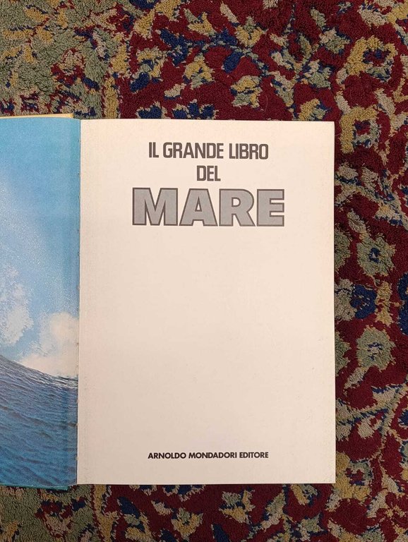 Il Grande Libro del Mare | Immagine Gallery 3