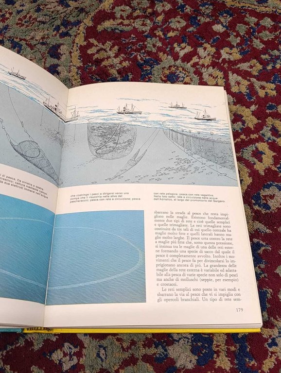 Il Grande Libro del Mare | Immagine Gallery 6