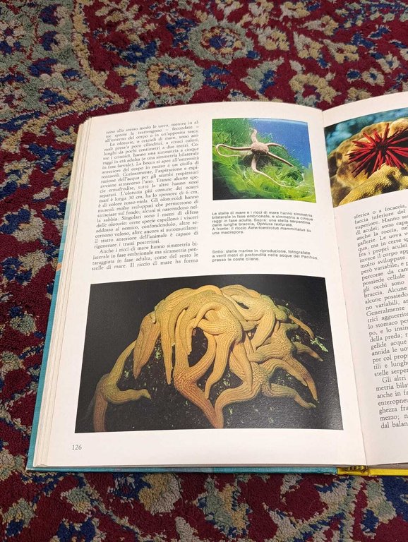 Il Grande Libro del Mare | Immagine Gallery 8