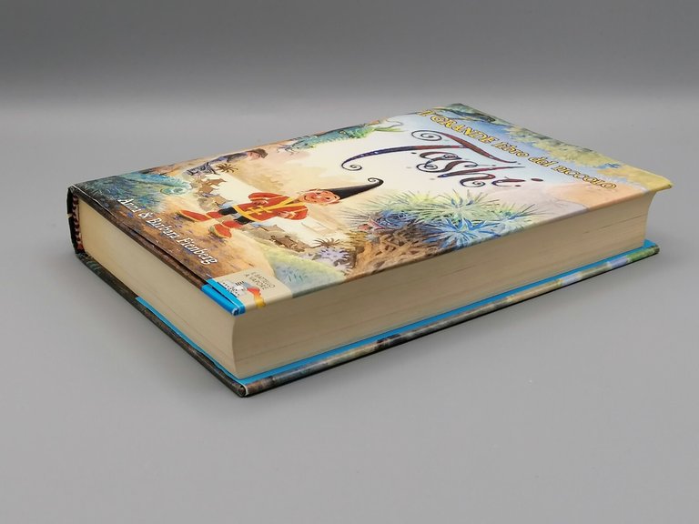 Il grande libro del piccolo Tashi