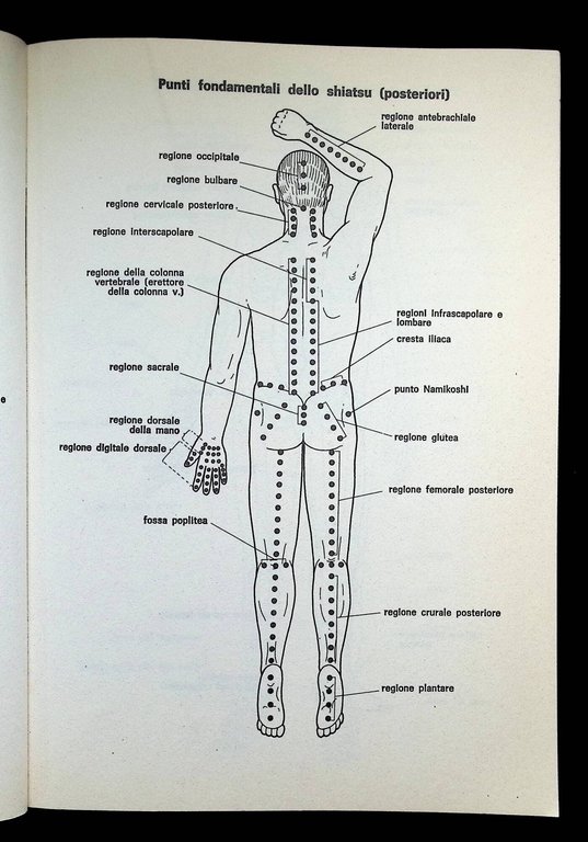 Il libro completo dello shiatsu