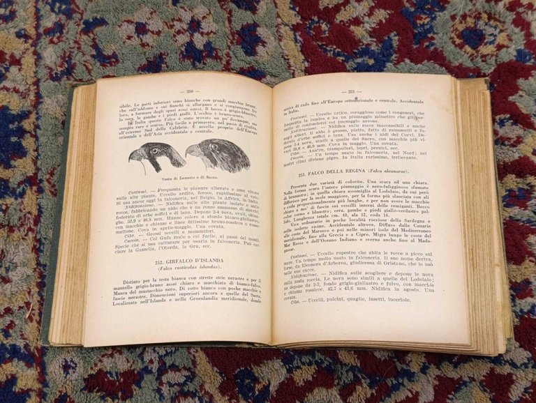 Il Libro Degli Uccelli Italiani. Manuale di Ornitologia Italiana. Elenco … | Immagine Gallery 10