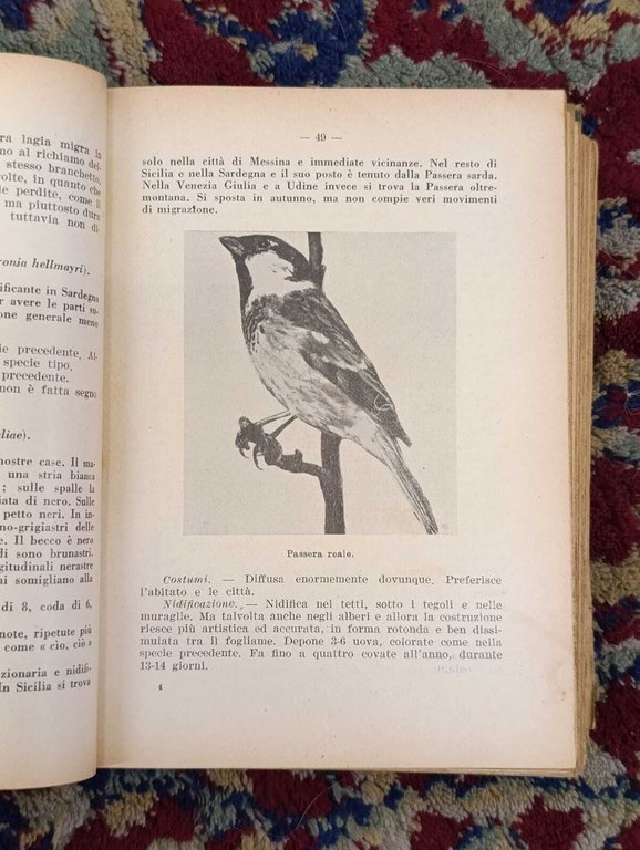 Il Libro Degli Uccelli Italiani. Manuale di Ornitologia Italiana. Elenco … | Immagine Gallery 8