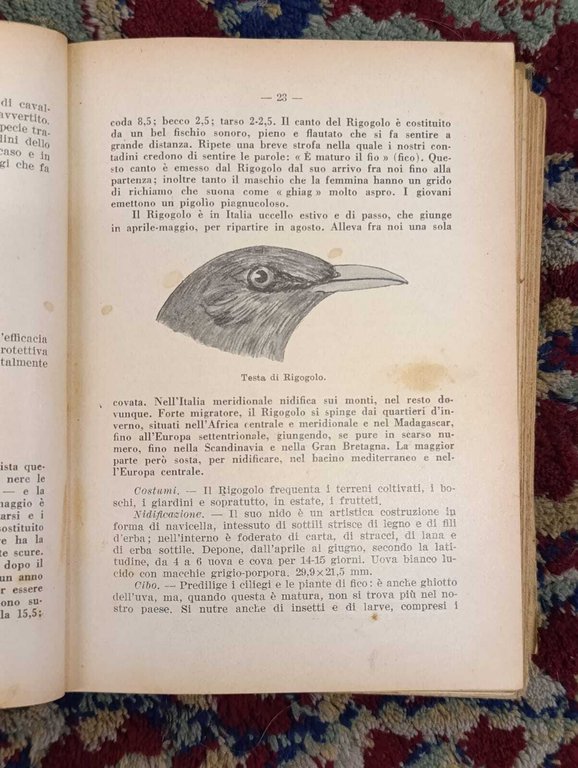 Il Libro Degli Uccelli Italiani. Manuale di Ornitologia Italiana. Elenco … | Immagine Gallery 9