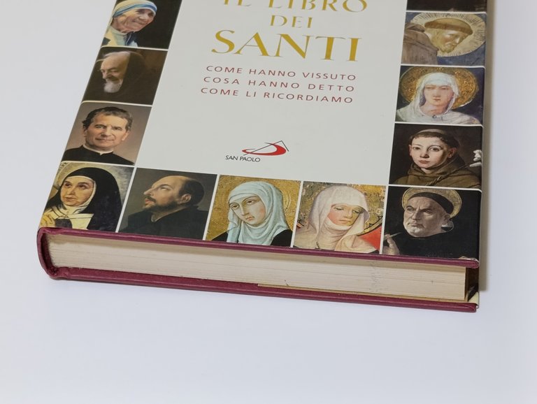 Il libro dei santi. Come hanno vissuto, cosa hanno detto, …