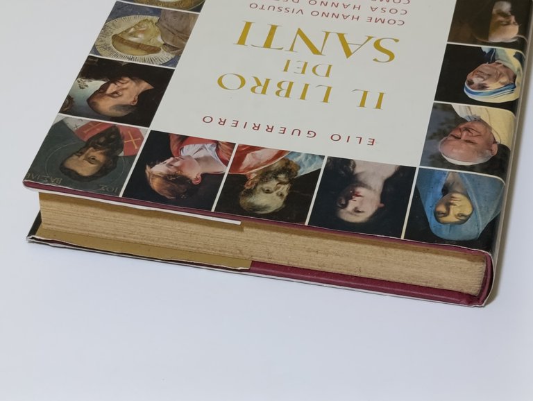 Il libro dei santi. Come hanno vissuto, cosa hanno detto, …