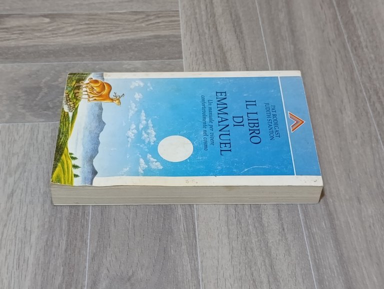 Il libro di Emmanuel. Un manuale per vivere confortevolmente nel …