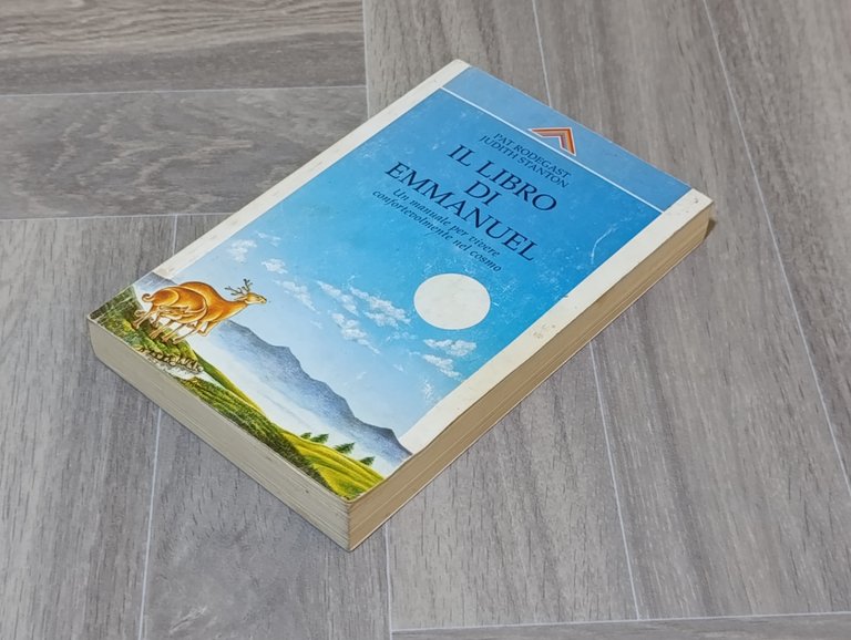 Il libro di Emmanuel. Un manuale per vivere confortevolmente nel …