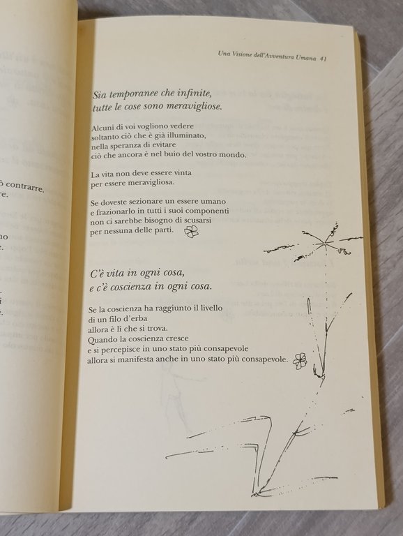 Il libro di Emmanuel. Un manuale per vivere confortevolmente nel …