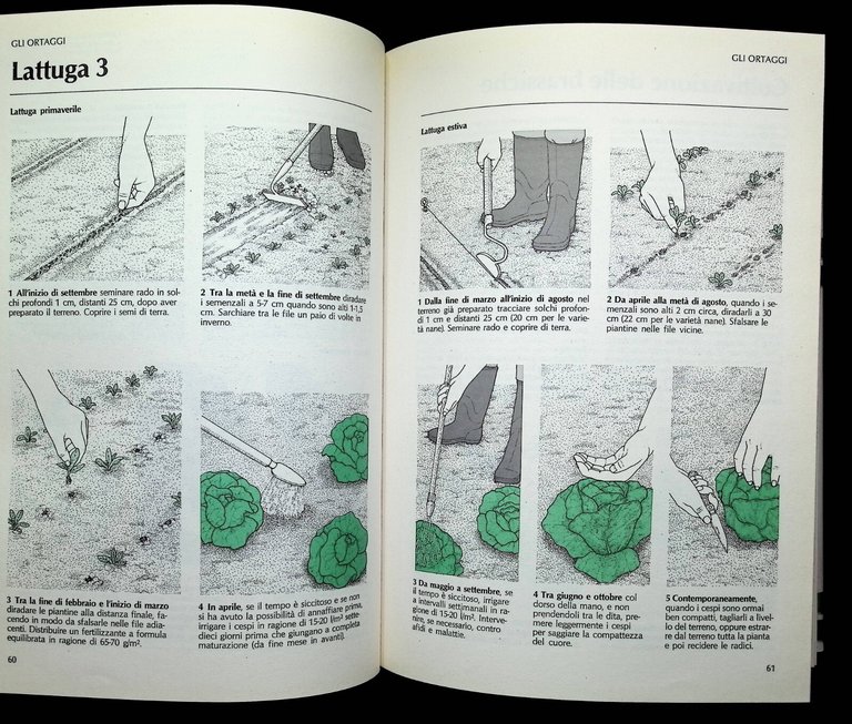 Il Manuale Di Giardinaggio Libro Brickell Zanichelli Mondolibri 2001