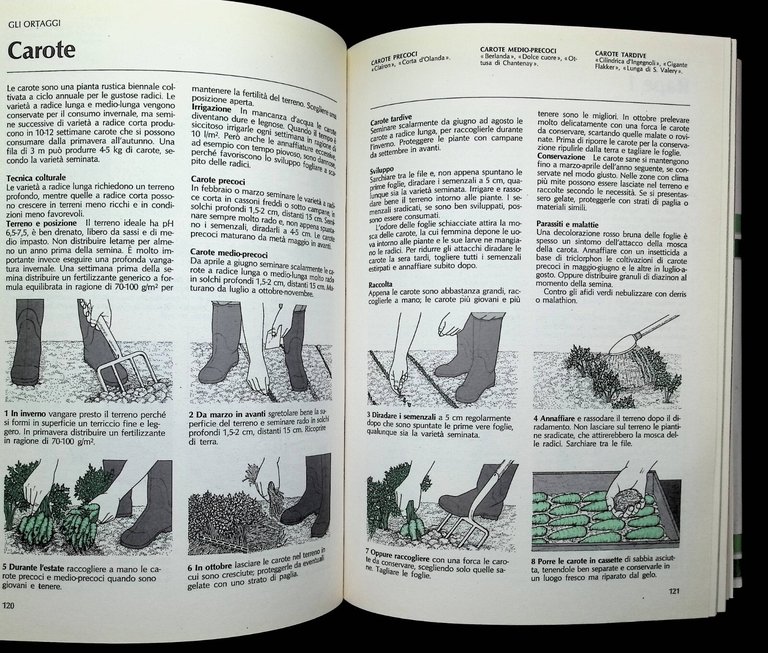 Il Manuale Di Giardinaggio Libro Brickell Zanichelli Mondolibri 2001