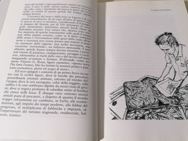 Il Mare Nelle Reti Risorse e Tradizioni Della Pesca Libro …