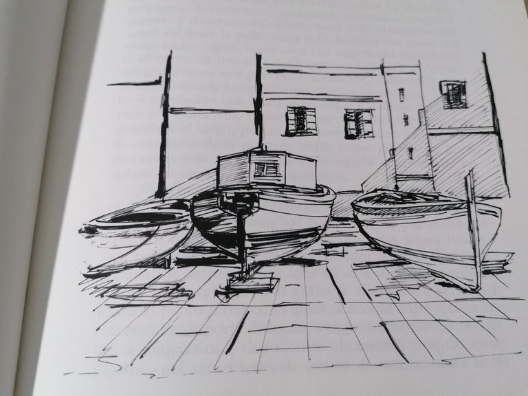 Il Mare Nelle Reti Risorse e Tradizioni Della Pesca Libro …