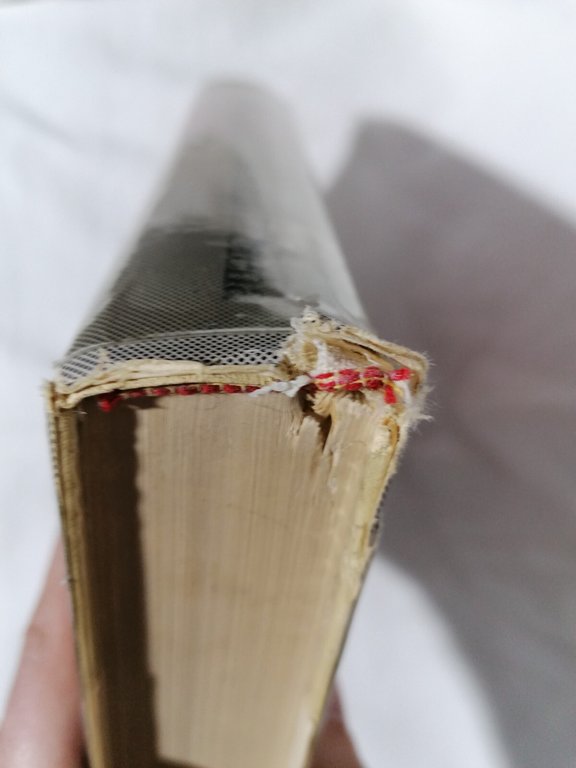 Il Messaggio di Santa Caterina da Siena Dottore Della Chiesa …