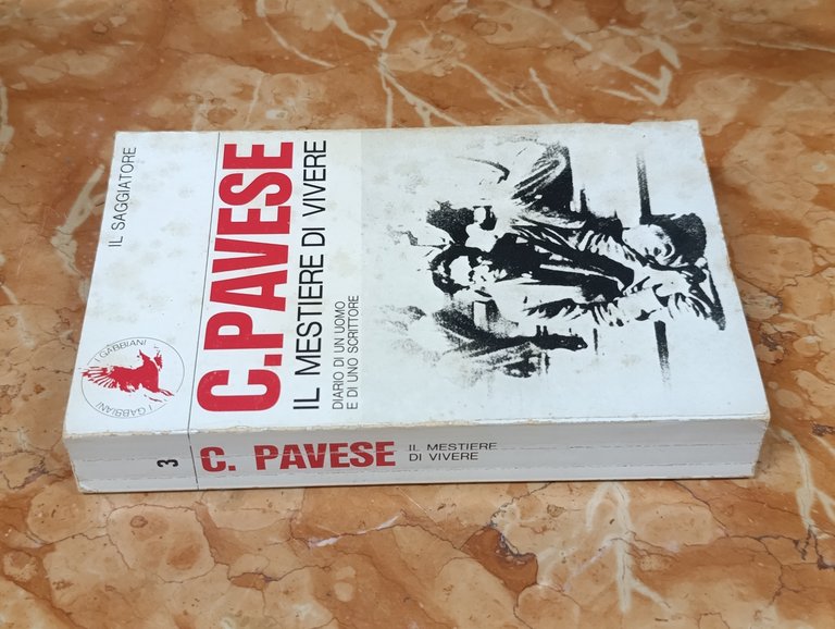 Il Mestiere di Vivere. Diario di un uomo e di … | Immagine Gallery 3