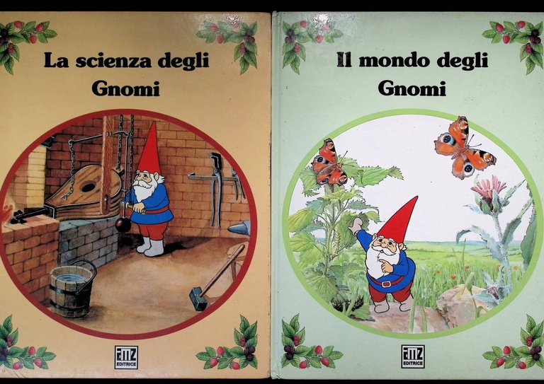 Il Mondo Degli Gnomi / La Scienza Degli Gnomi. Lotto … | Immagine Gallery 7