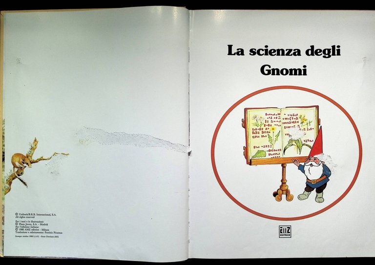 Il Mondo Degli Gnomi / La Scienza Degli Gnomi. Lotto … | Immagine Gallery 8
