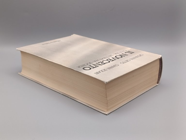 Il Novecento. Cultura, letteratura, società