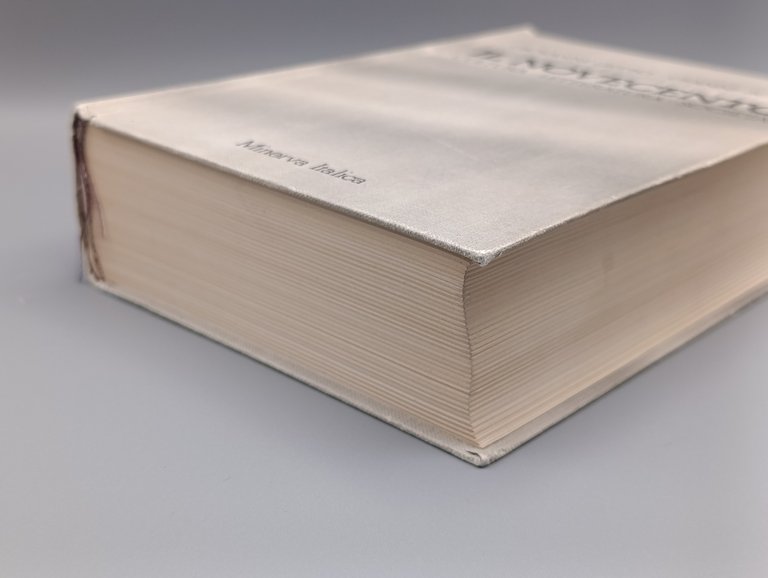 Il Novecento. Cultura, letteratura, società