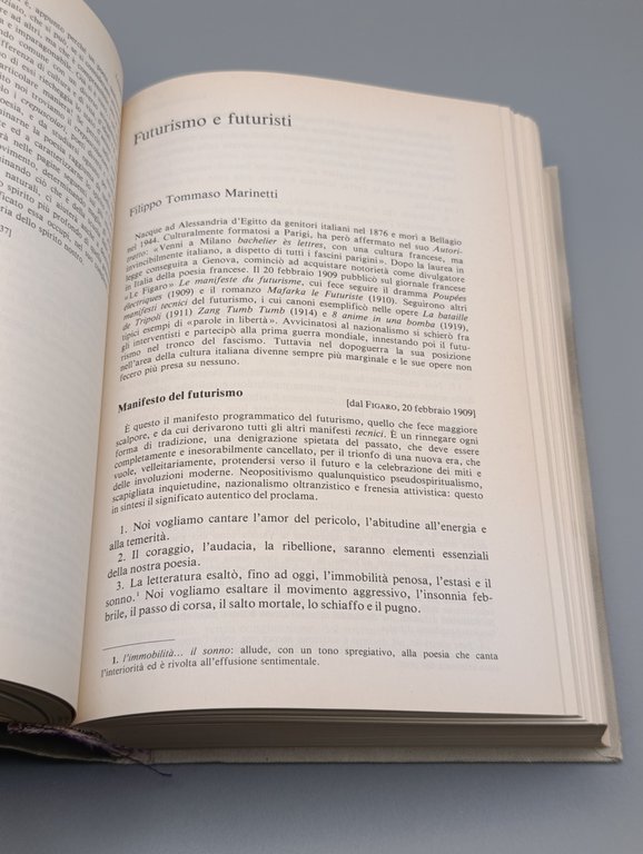 Il Novecento. Cultura, letteratura, società